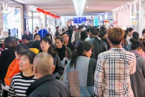 新螺螄灣未來可期 商品批發貿易的發展機遇與前景